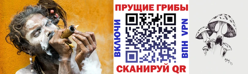 Псилоцибиновые грибы MAGIC MUSHROOMS  дарнет шоп  Шарья 